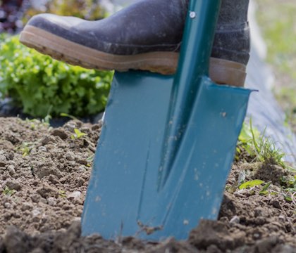 Les vidéos de la marque LEBORGNE, outils pour le jardinage 