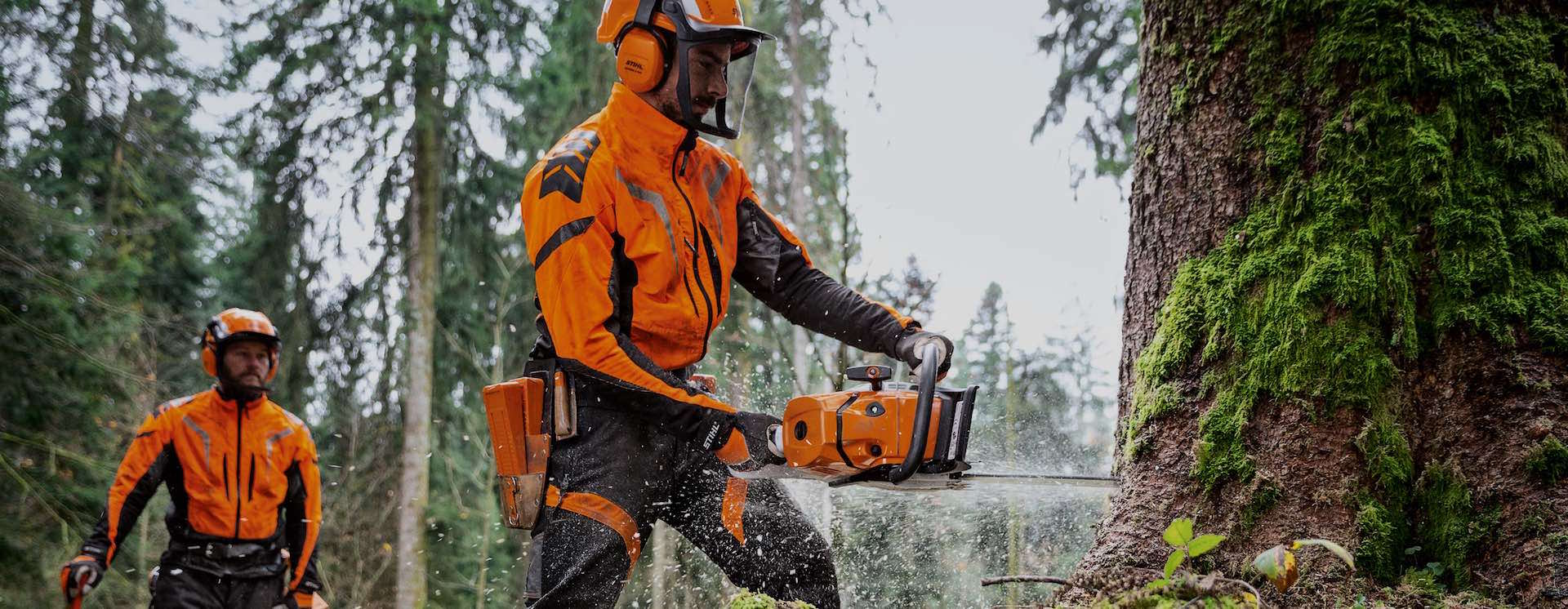 Tronçonneuses professionnelles Stihl