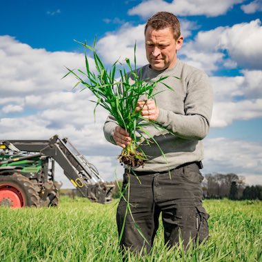 Eliet, broyeurs de jardin multi-végétaux